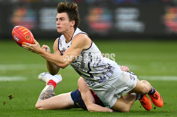 AFL 2023 Round 11 - Narrm v Walyalup - A-1662515