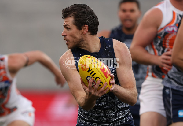 AFL 2023 Round 11 - Geelong v GWS - A-1663502