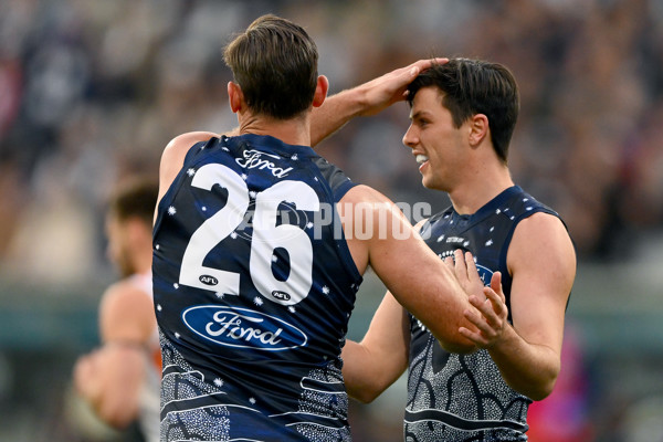 AFL 2023 Round 11 - Geelong v GWS - A-1666617