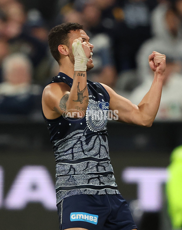 AFL 2023 Round 11 - Geelong v GWS - A-1666692