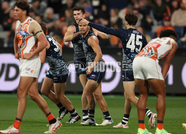 AFL 2023 Round 11 - Geelong v GWS - A-1666693