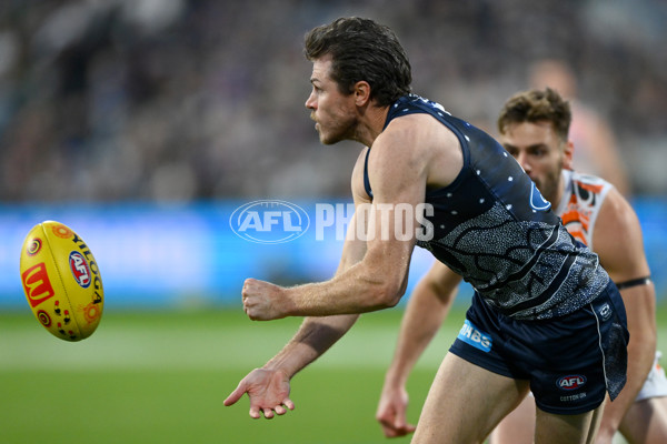 AFL 2023 Round 11 - Geelong v GWS - A-1666696