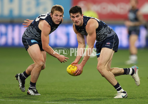AFL 2023 Round 11 - Geelong v GWS - A-1668555