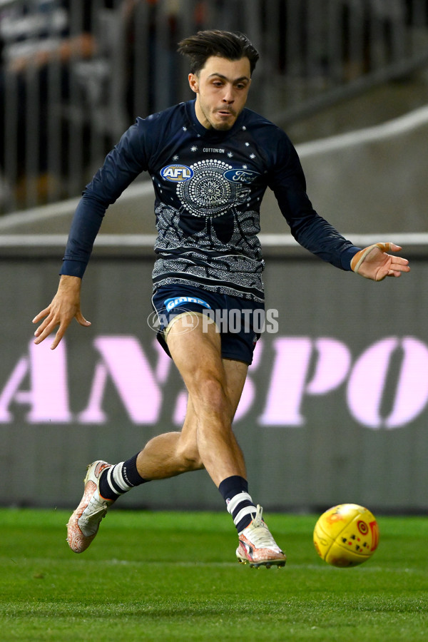 AFL 2023 Round 11 - Geelong v GWS - A-1671757