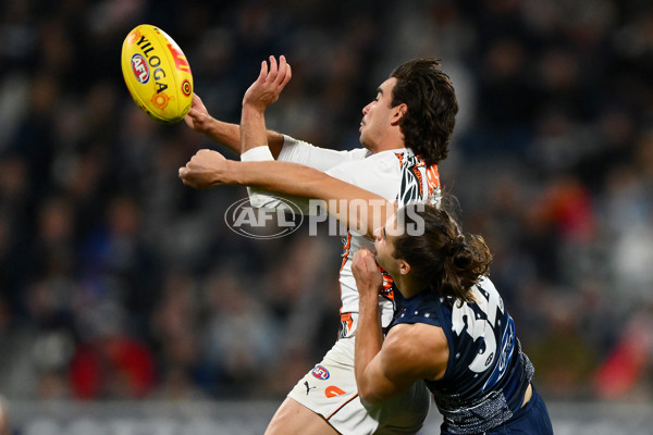 AFL 2023 Round 11 - Geelong v GWS - A-1671787