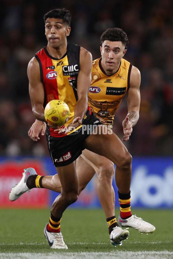 AFL 2023 Round 11 - St Kilda v Hawthorn - A-1671840