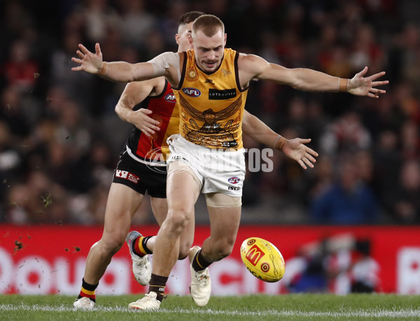 AFL 2023 Round 11 - St Kilda v Hawthorn - A-1671842