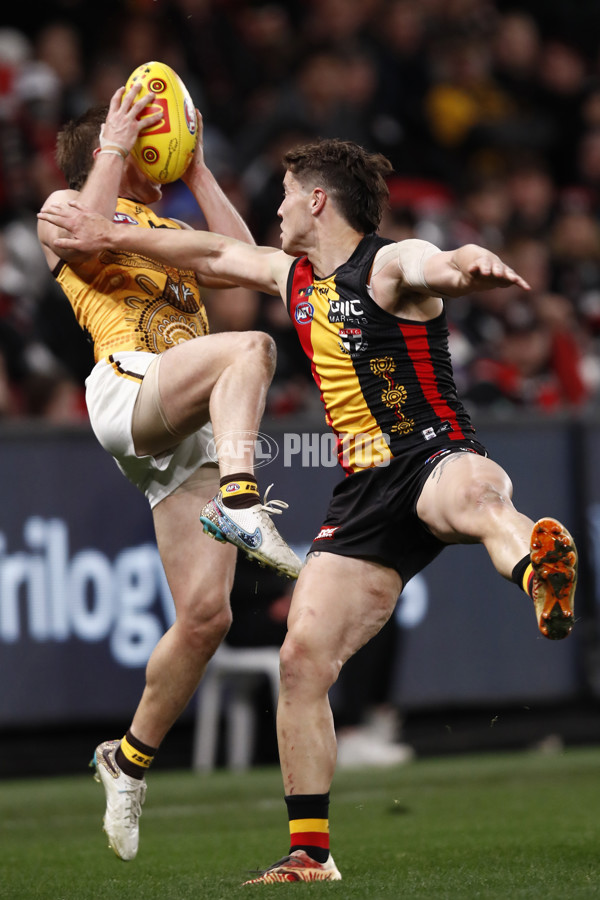 AFL 2023 Round 11 - St Kilda v Hawthorn - A-1672871