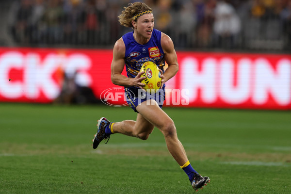 AFL 2023 Round 11 - West Coast v Essendon - A-1679752