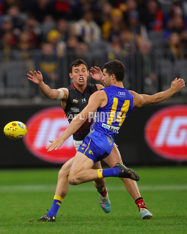 AFL 2023 Round 11 - West Coast v Essendon - A-1679784