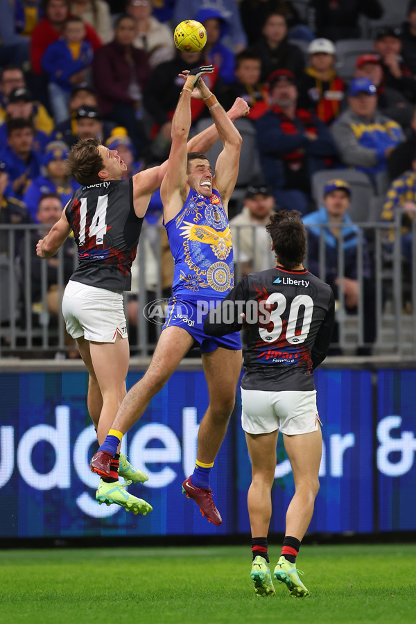 AFL 2023 Round 11 - West Coast v Essendon - A-1684337