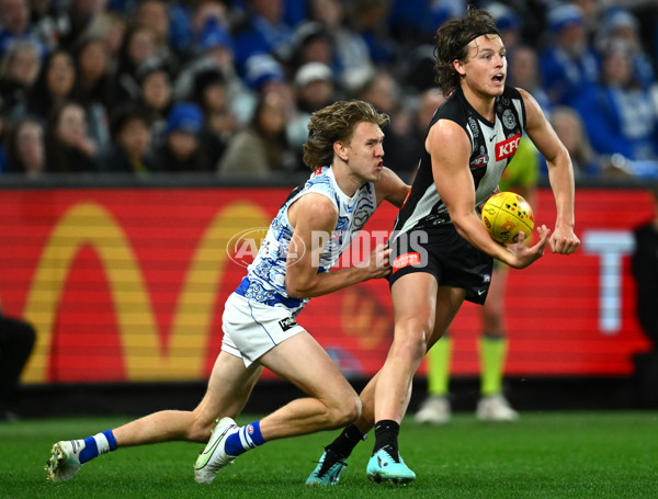 AFL 2023 Round 11 - Collingwood v North Melbourne - A-1698396