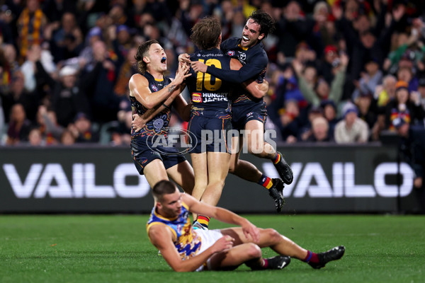 AFL 2023 Round 11 - Adelaide v Brisbane - A-1700206