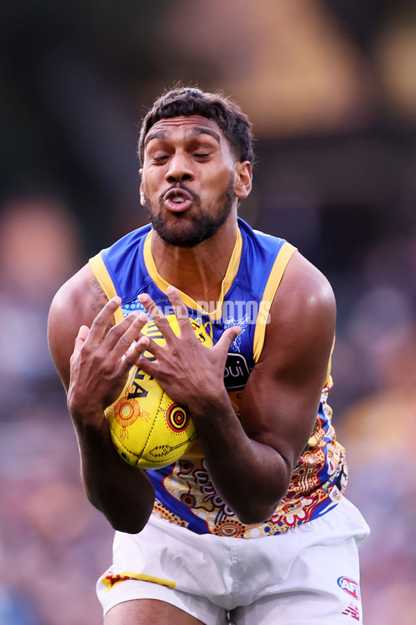 AFL 2023 Round 11 - Adelaide v Brisbane - A-1701537