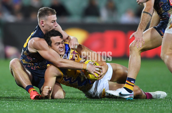 AFL 2023 Round 11 - Adelaide v Brisbane - A-1704622