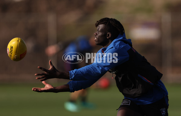 Western Bulldogs Training Session - A-1707161