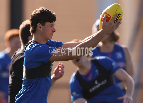 Western Bulldogs Training Session - A-1713694