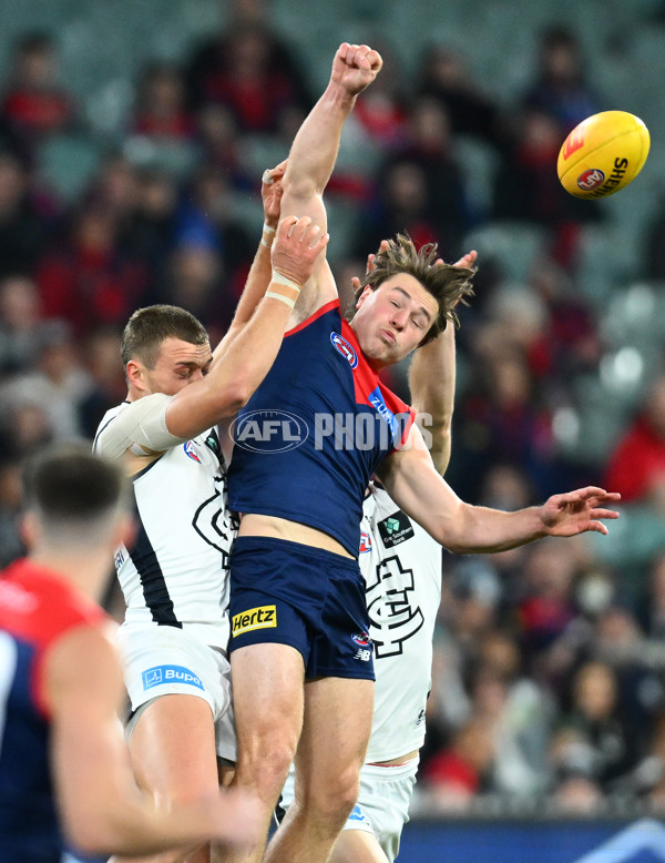 AFL 2023 Round 12 - Melbourne v Carlton - A-1713712