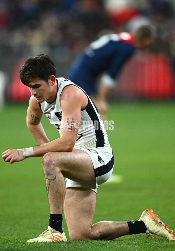 AFL 2023 Round 12 - Melbourne v Carlton - A-1724025