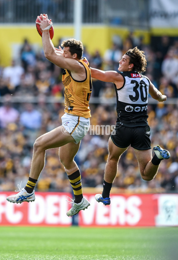 AFL 2023 Round 12 - Port Adelaide v Hawthorn - A-1724040