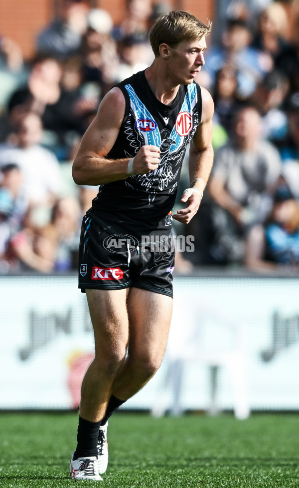 AFL 2023 Round 12 - Port Adelaide v Hawthorn - A-1724044