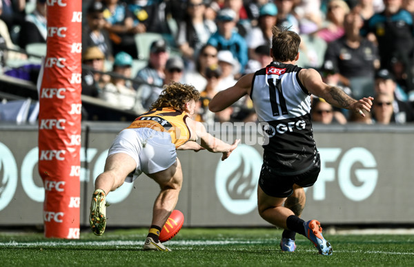 AFL 2023 Round 12 - Port Adelaide v Hawthorn - A-1724050