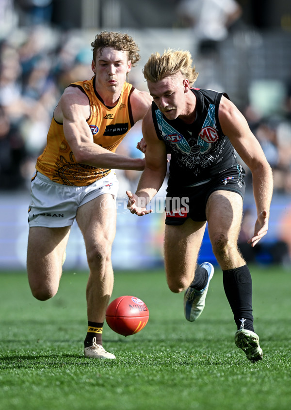 AFL 2023 Round 12 - Port Adelaide v Hawthorn - A-1724065