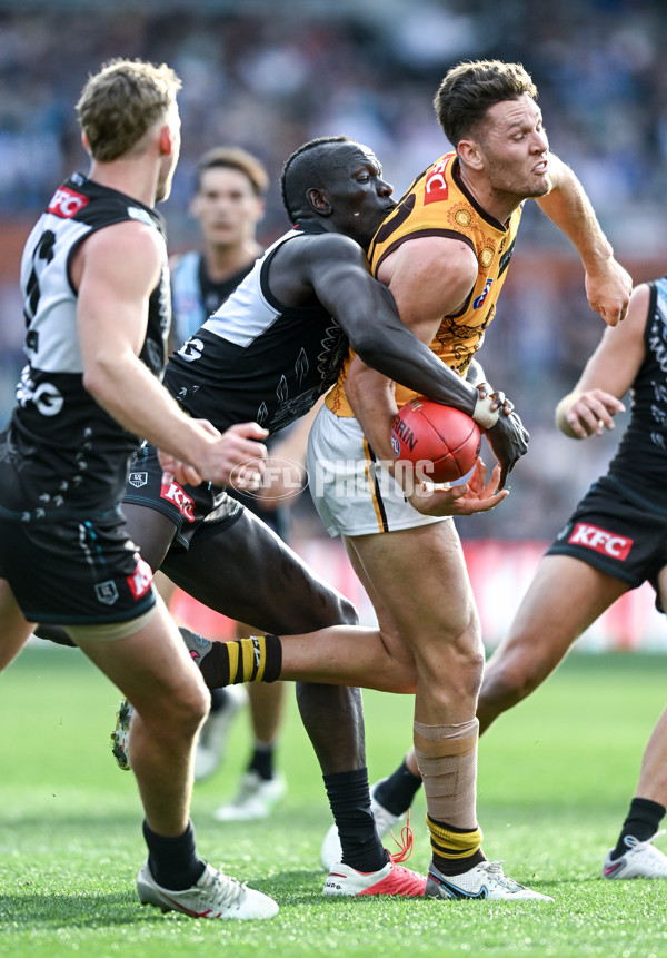 AFL 2023 Round 12 - Port Adelaide v Hawthorn - A-1724069