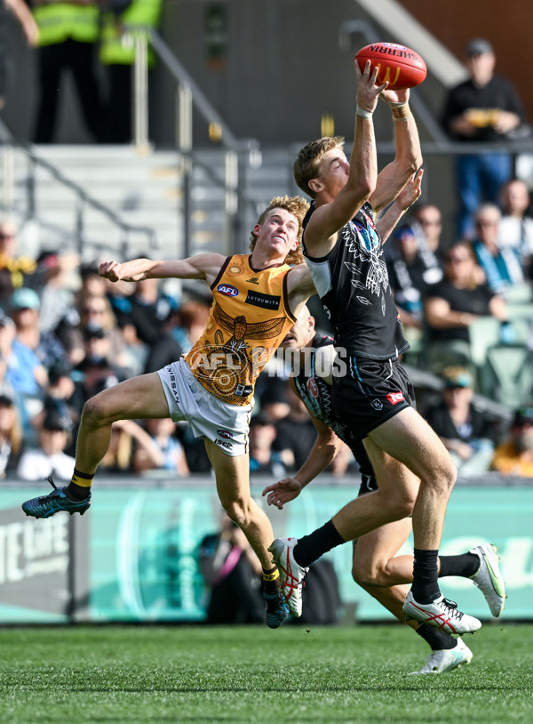 AFL 2023 Round 12 - Port Adelaide v Hawthorn - A-1725212