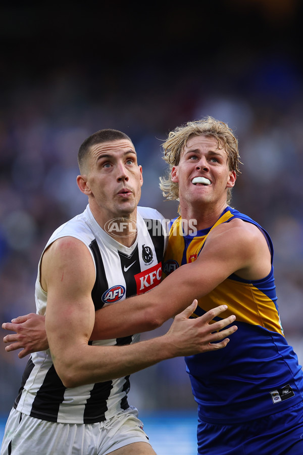 AFL 2023 Round 12 - West Coast v Collingwood - A-1725276