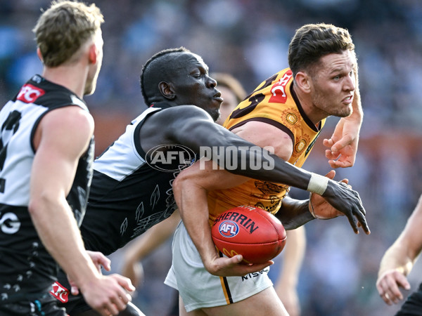 AFL 2023 Round 12 - Port Adelaide v Hawthorn - A-1728818