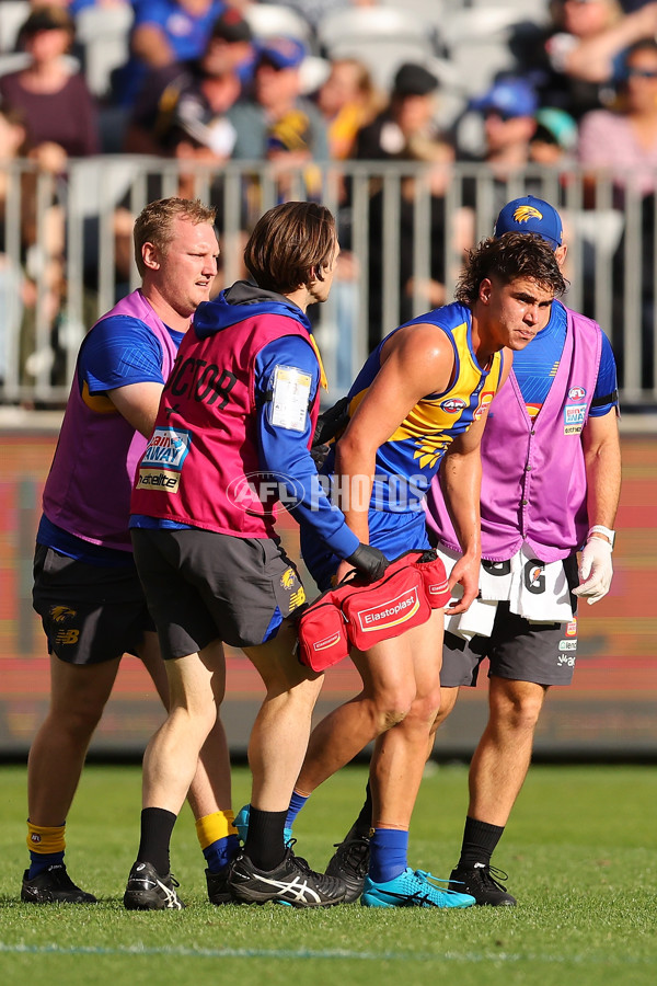 AFL 2023 Round 12 - West Coast v Collingwood - A-1728845