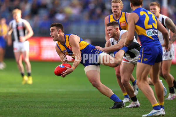 AFL 2023 Round 12 - West Coast v Collingwood - A-1728873