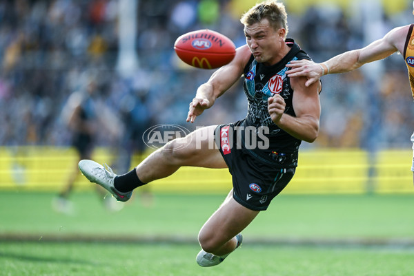 AFL 2023 Round 12 - Port Adelaide v Hawthorn - A-1728879