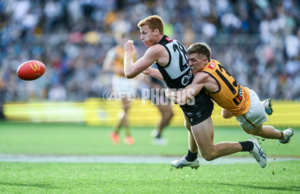 AFL 2023 Round 12 - Port Adelaide v Hawthorn - A-1728883