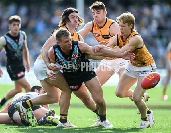 AFL 2023 Round 12 - Port Adelaide v Hawthorn - A-1728907