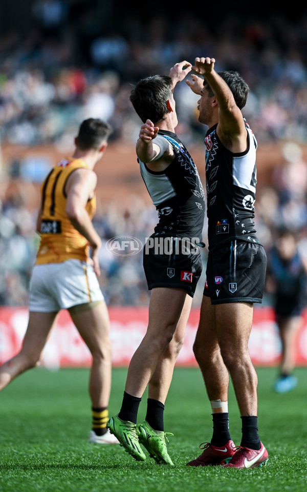 AFL 2023 Round 12 - Port Adelaide v Hawthorn - A-1728909