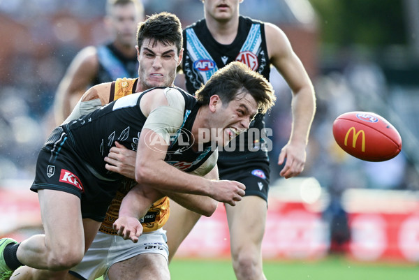 AFL 2023 Round 12 - Port Adelaide v Hawthorn - A-1730653