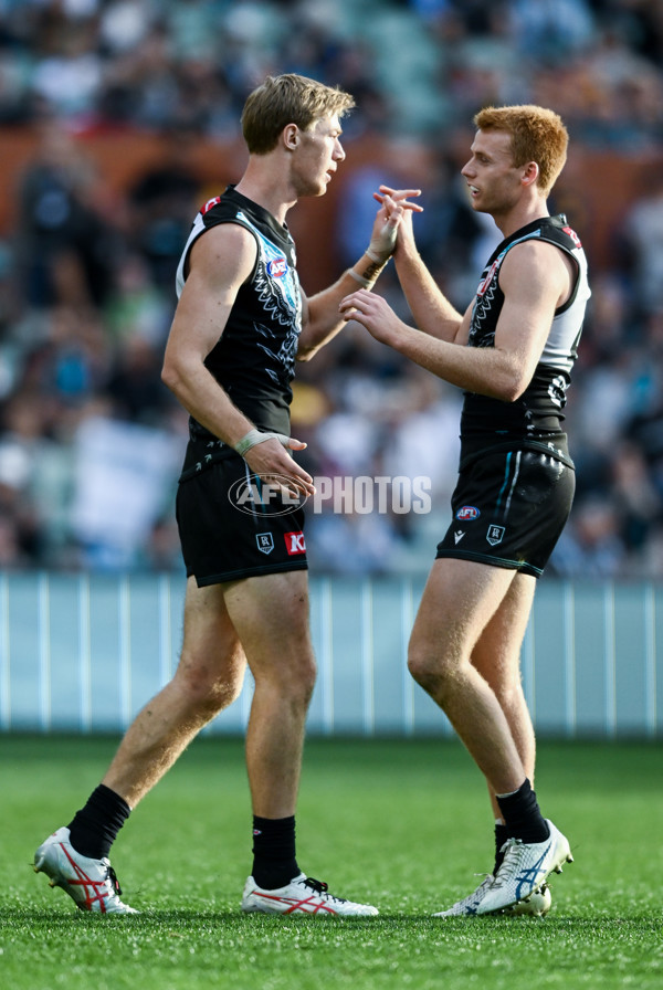 AFL 2023 Round 12 - Port Adelaide v Hawthorn - A-1730656