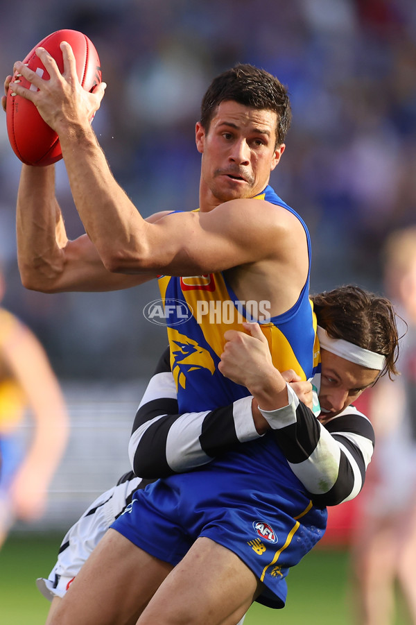 AFL 2023 Round 12 - West Coast v Collingwood - A-1730659