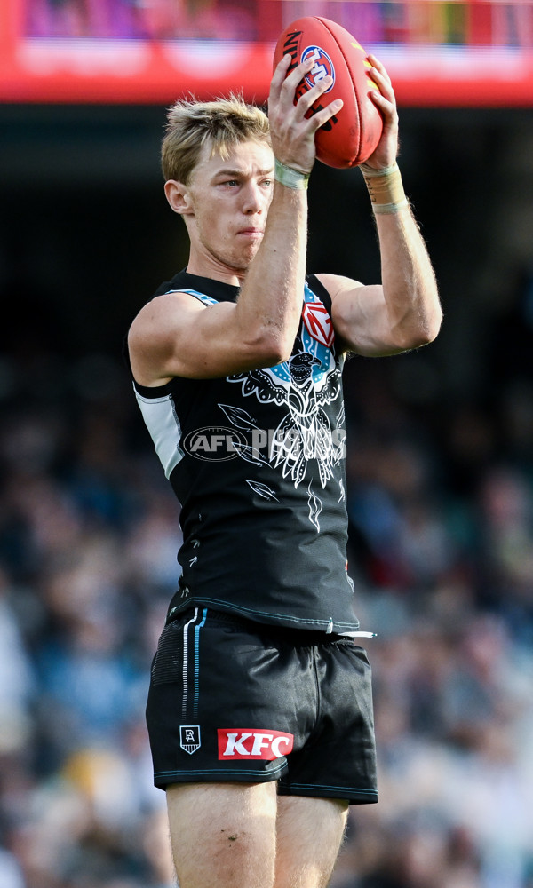 AFL 2023 Round 12 - Port Adelaide v Hawthorn - A-1730660