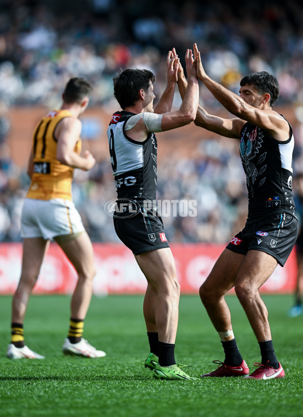 AFL 2023 Round 12 - Port Adelaide v Hawthorn - A-1730684