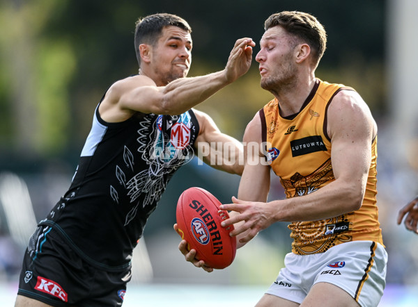 AFL 2023 Round 12 - Port Adelaide v Hawthorn - A-1730703