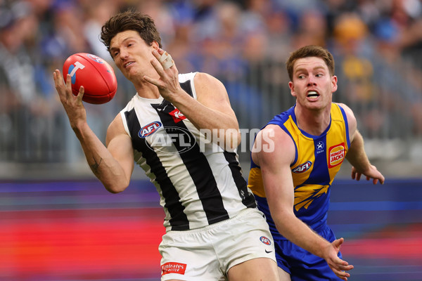 AFL 2023 Round 12 - West Coast v Collingwood - A-1732487
