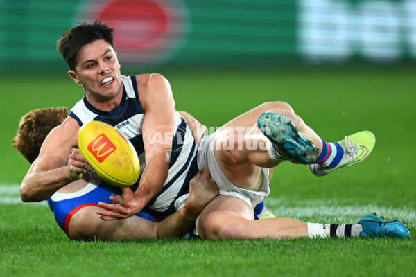 AFL 2023 Round 12 - Western Bulldogs v Geelong - A-1733768