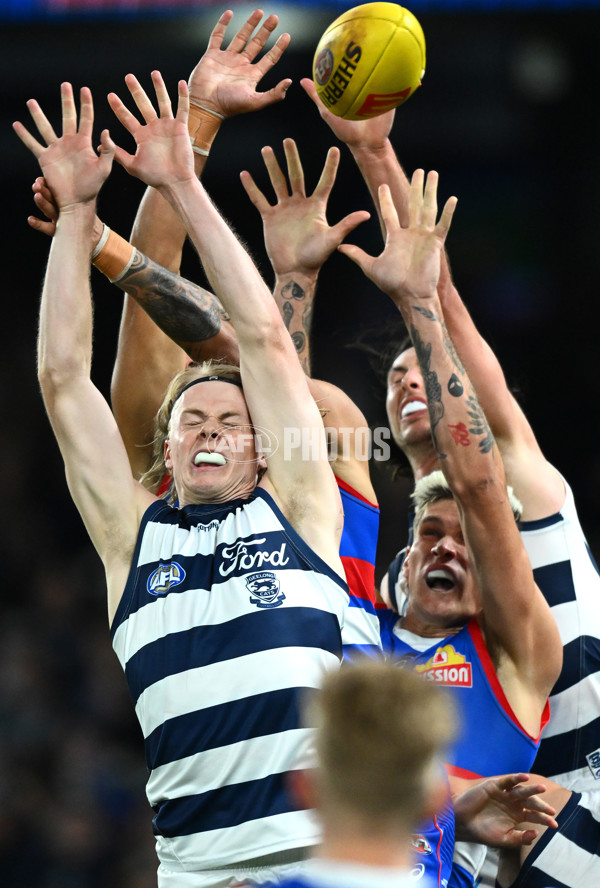 AFL 2023 Round 12 - Western Bulldogs v Geelong - A-1733807