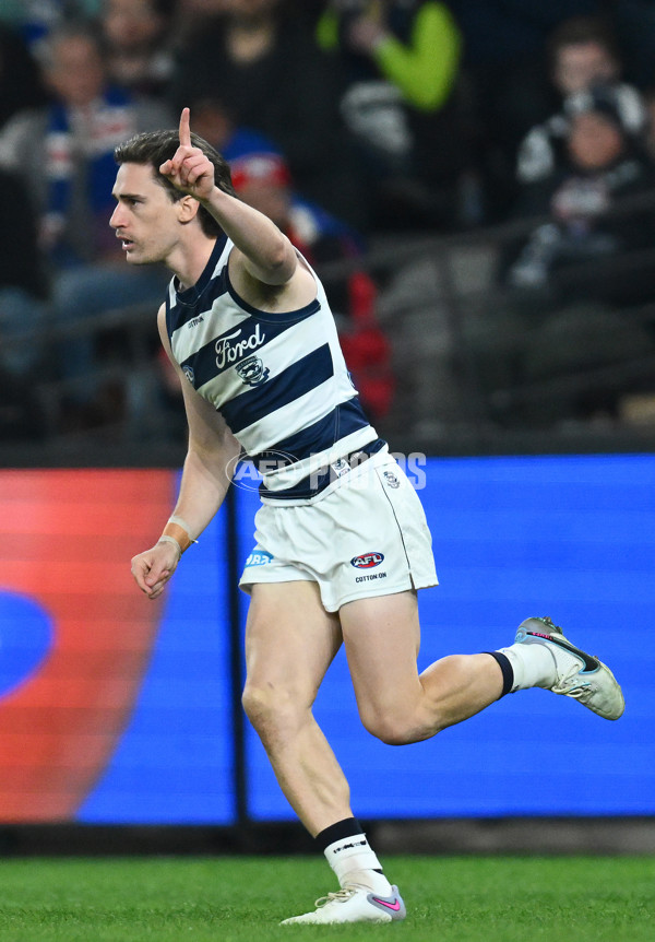 AFL 2023 Round 12 - Western Bulldogs v Geelong - A-1733835