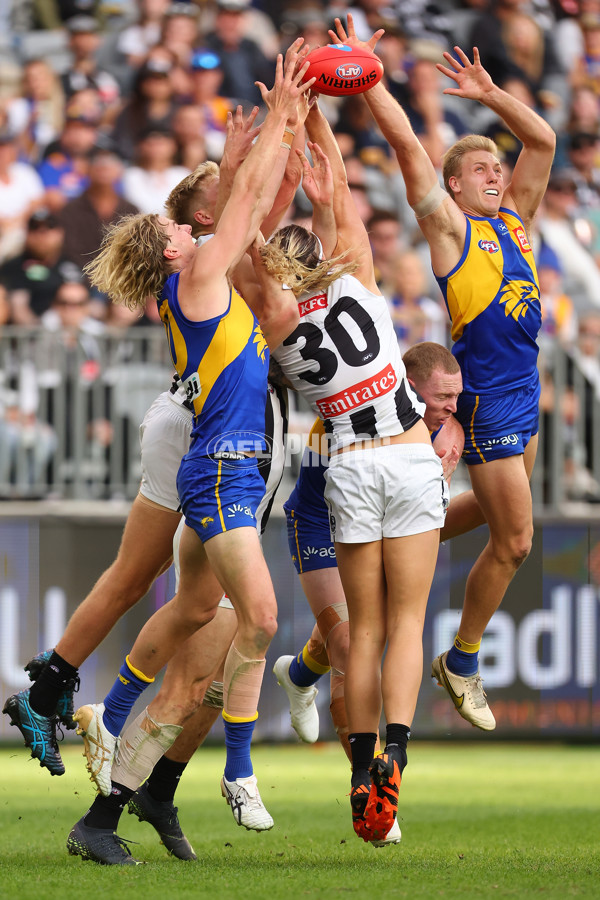 AFL 2023 Round 12 - West Coast v Collingwood - A-1733865
