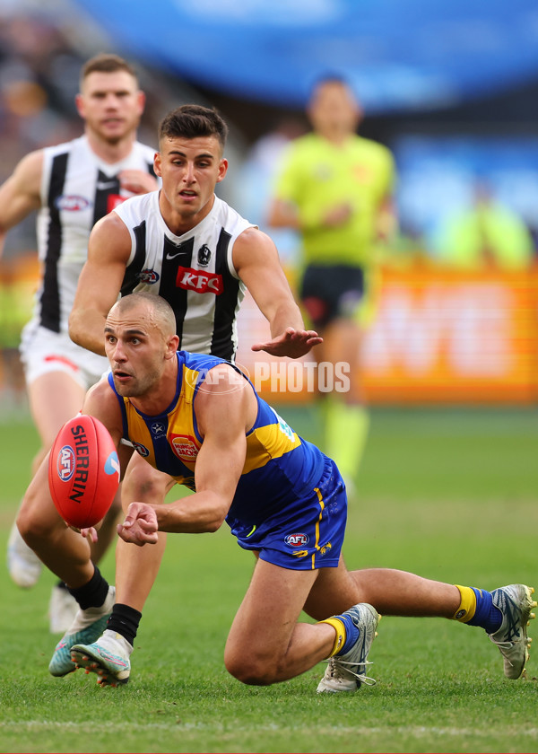 AFL 2023 Round 12 - West Coast v Collingwood - A-1735626