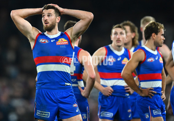 AFL 2023 Round 12 - Western Bulldogs v Geelong - A-1735646
